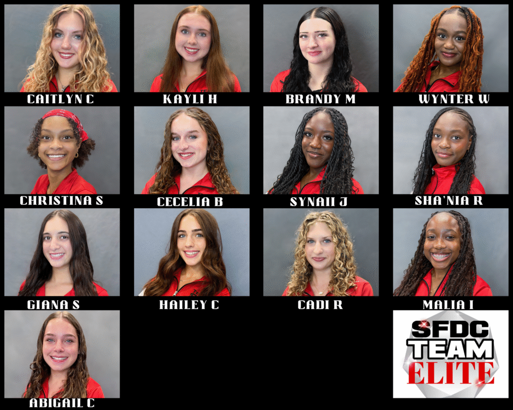 SFDC Team Elite